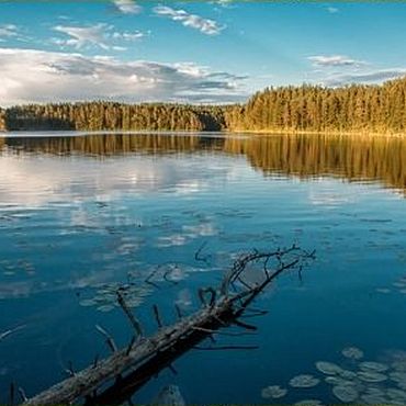 Республиканский гидрологический заказник «Глубокое–Большое Островито»