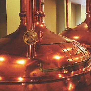 «Полоцкие напитки и концентраты»