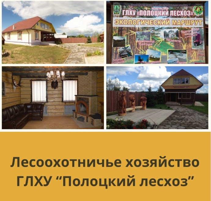 Полоцкий лесхоз.jpg